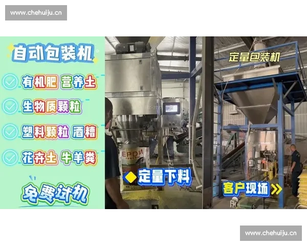 以定量包装秤为核心推动智能化包装生产线高效精准发展 以定量包装秤为核心推动智能化包装生产线高效精准发展