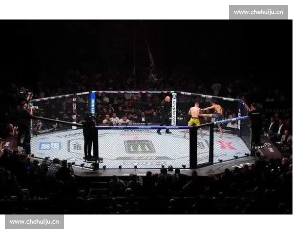 最新UFC比赛免费直播在线观看平台汇总带你轻松掌握实时赛事精彩瞬间